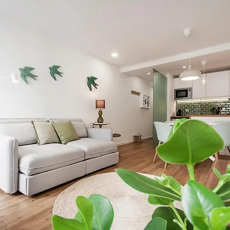 Sardinha Boémia - Remédios Appartamento